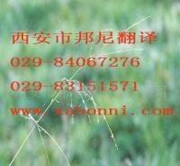 提供各小語種翻譯服務(wù) 價格、廠家與一站式解決方案